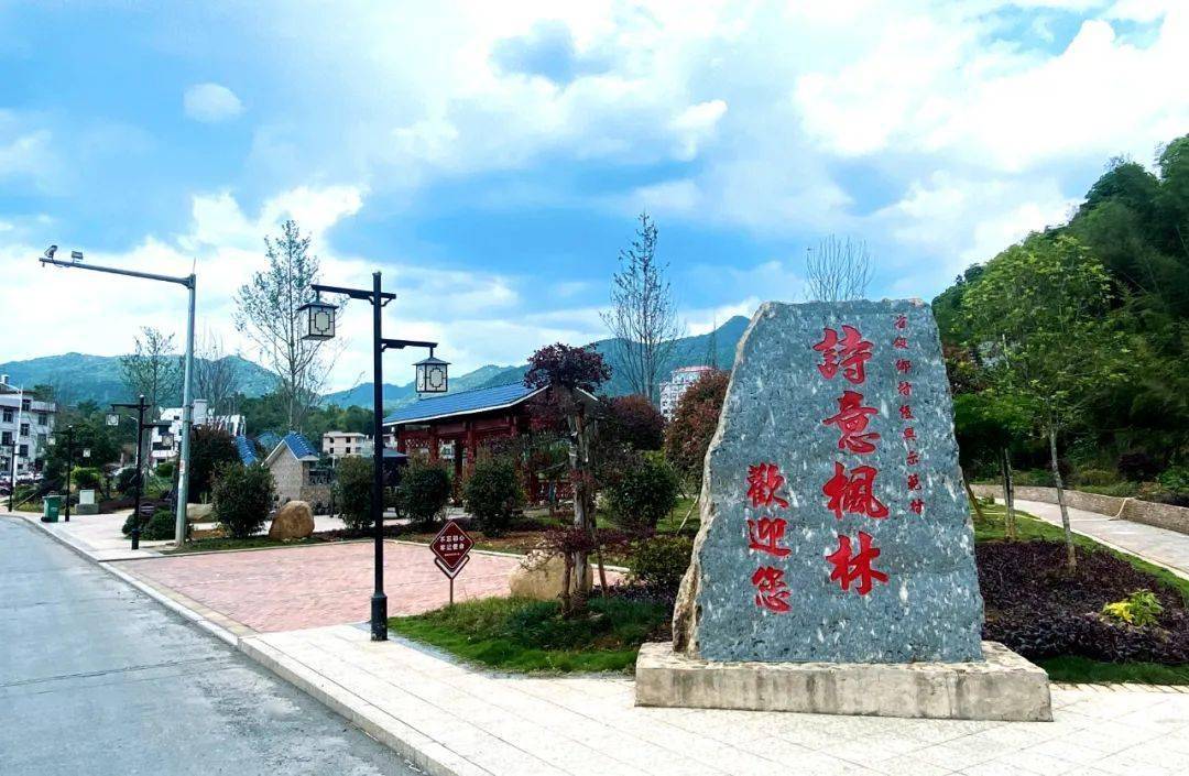 永定枫林村绿色发展蝴蝶翩跹