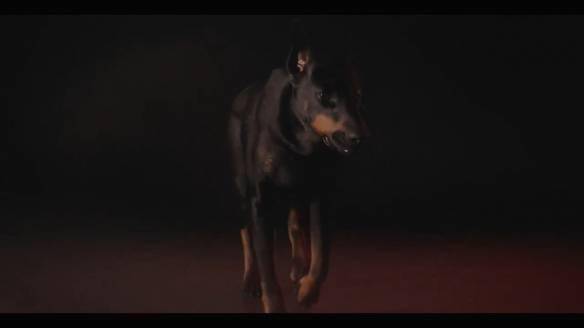 Netflix|网飞《生化危机》首曝真人剧集片段：丧尸犬狰狞骇人