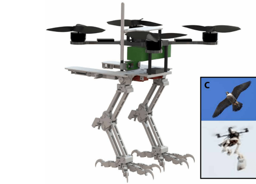 給無人機加爪子登科學子刊封面斯坦福研發仿生鳥機器人