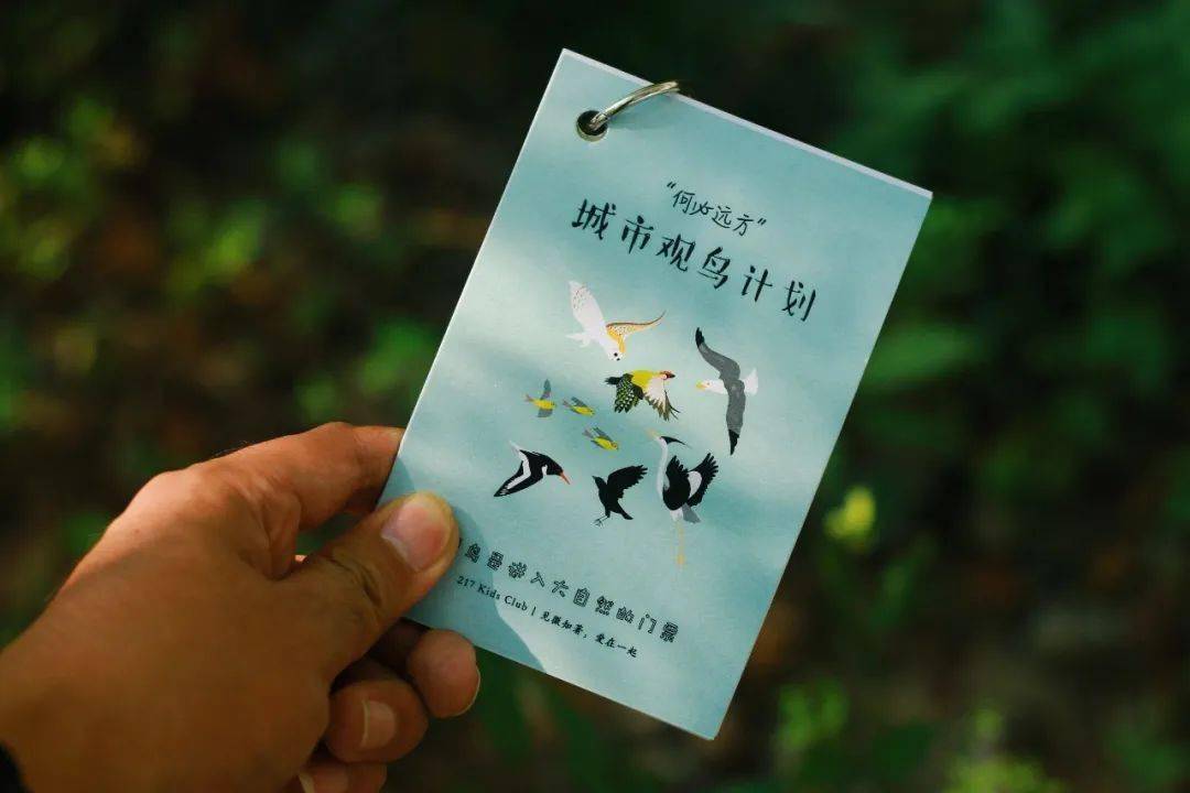 冬天我们去看候鸟上海有这些地方可以