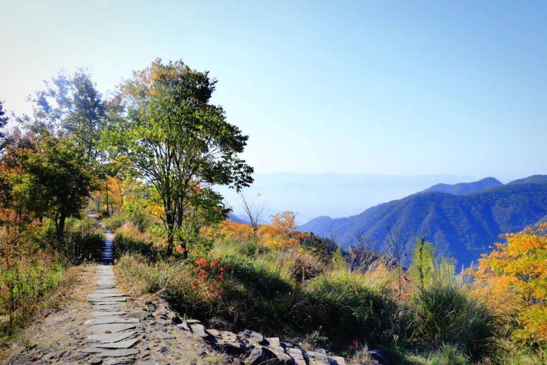 【印●象】 天台金地嶺——佛隴聖地, 這邊風景獨好!_智者_佛教_山嶺