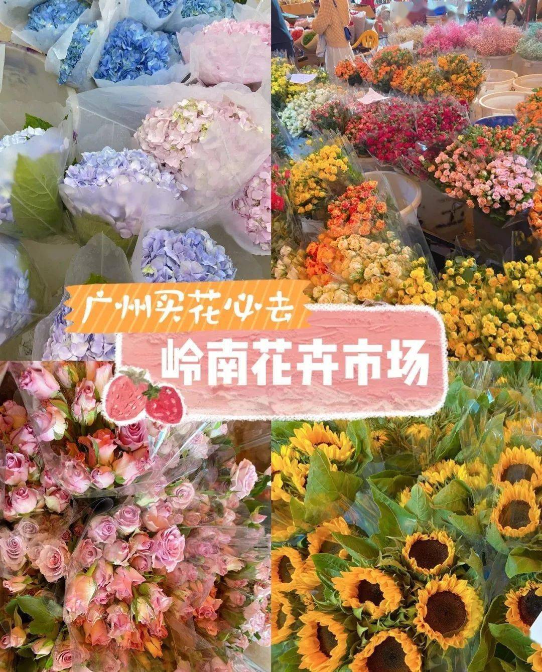 文章配图-44