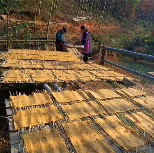 天气|邵阳农村晒红薯片的季节,童年时的回味!