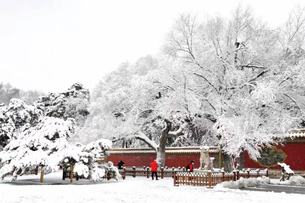 大雪|“冬雪雪冬小大寒”