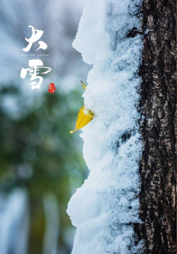 薛新玉|报节气|冰与雪之歌