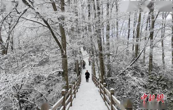 冬日|今日大雪丨仲冬始，愿平安