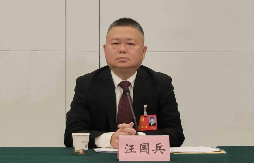 黄冈市委书记张家胜参加黄冈市第六次党代会麻城代表团讨论