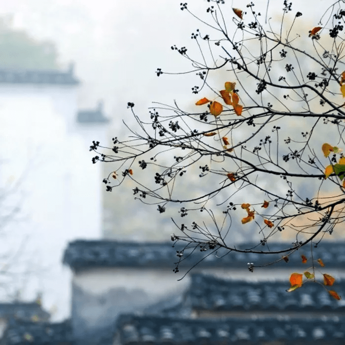 b31619ff858c43ec9a94c9fc7cefb8ed.png