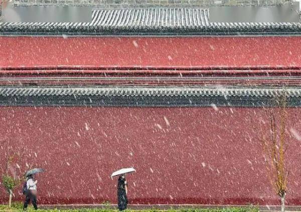 水果|今日大雪 | 邂逅最美的冬天