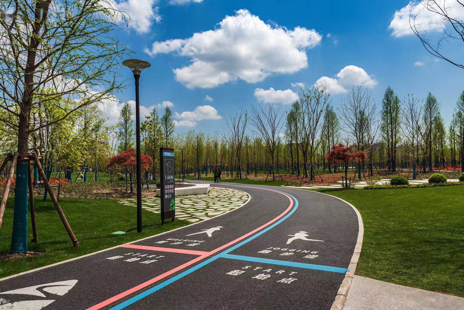 陆家嘴"水环"年底贯通!浦东未来5年新建绿道超200公里_世纪公园_建设_