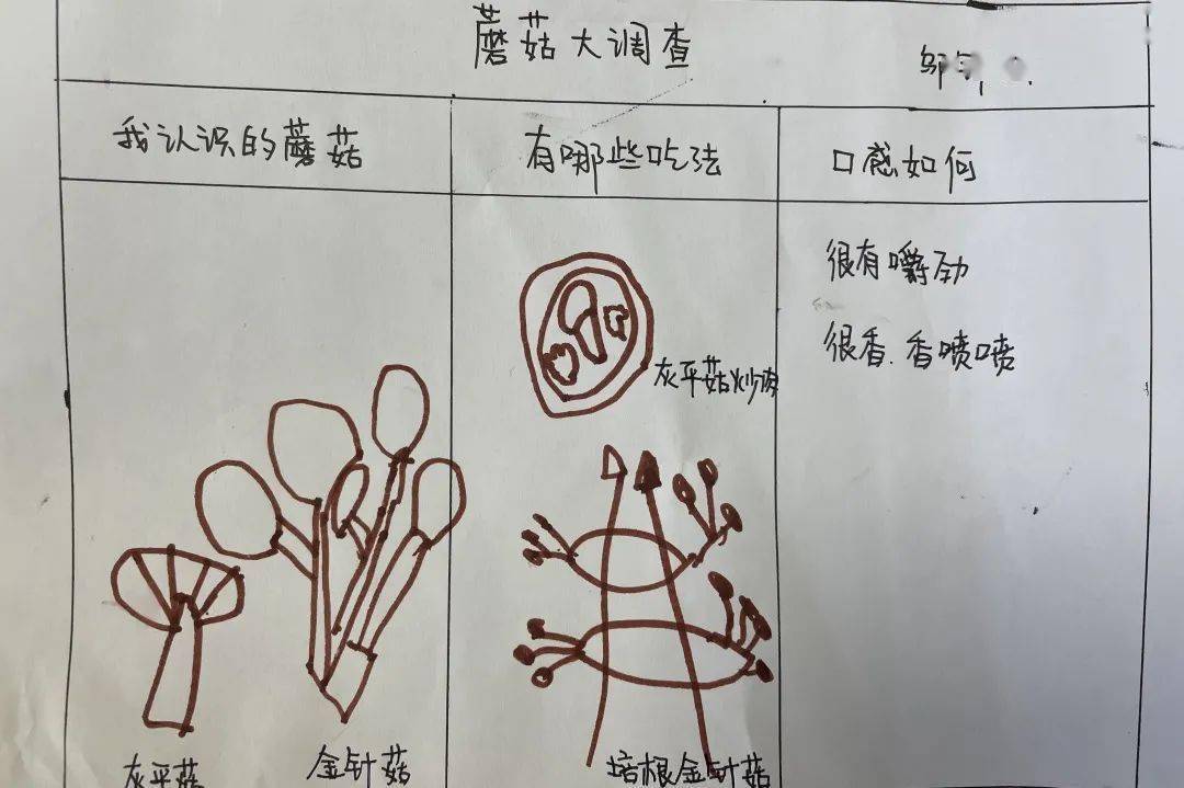 通巨幼儿园文景苑分园我们的菇事很精彩