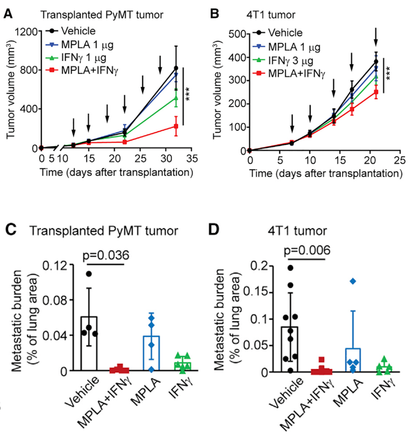 细胞|《细胞》子刊：让叛徒巨噬细胞回炉重造，两种老药提供新抗癌思路！