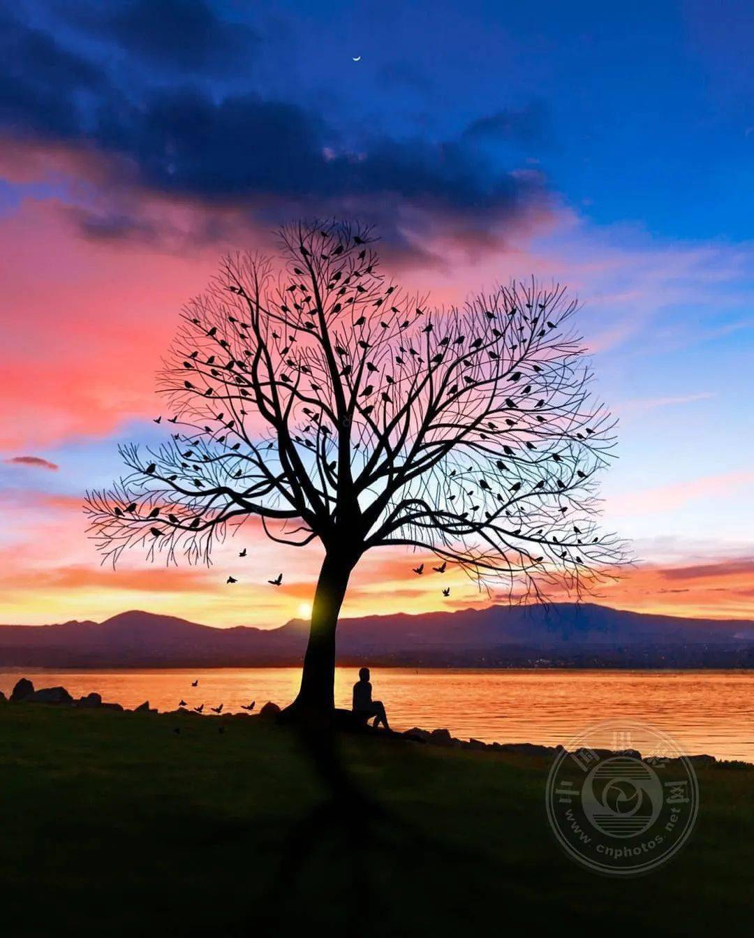 日落黄昏都不如你的温柔