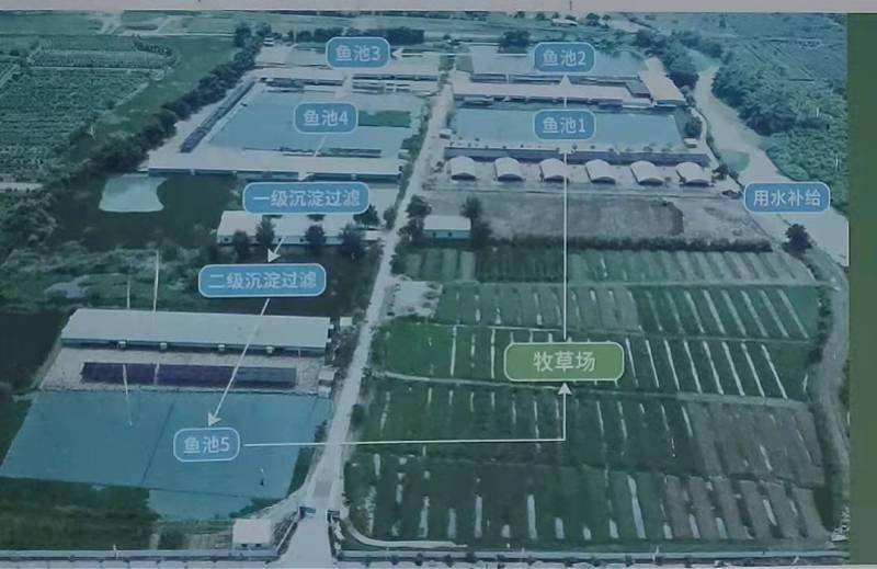 狮头鹅|“鹅脸识别”要来了！数智化赋能潮汕生态农业，5G技术养鹅