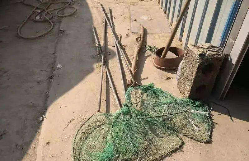 刑拘宾阳一男子涉嫌非法捕猎楼顶竟然暗藏500多只保护动物