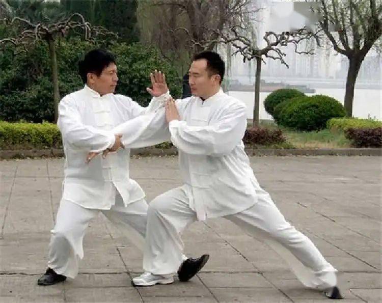 练太极为什么要练推手？这几点似乎说明白了_演练_武术_功力