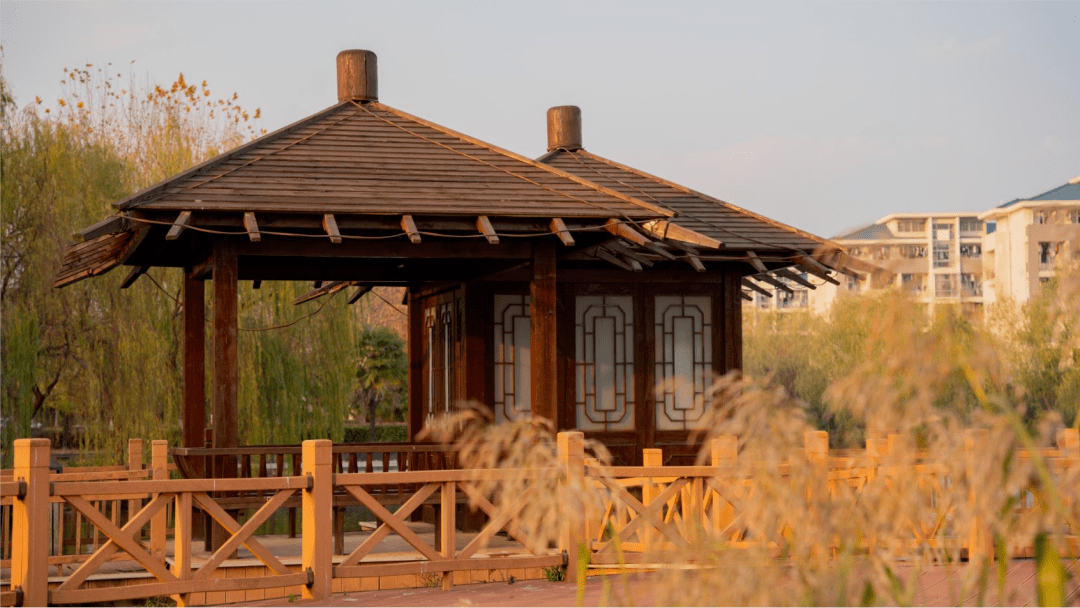 校园印象秋遇南京晓庄学院