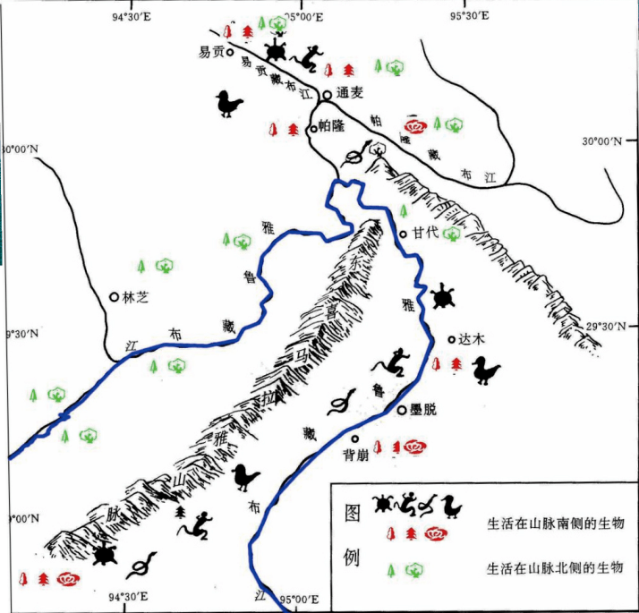 雅鲁藏布江全程三维图图片