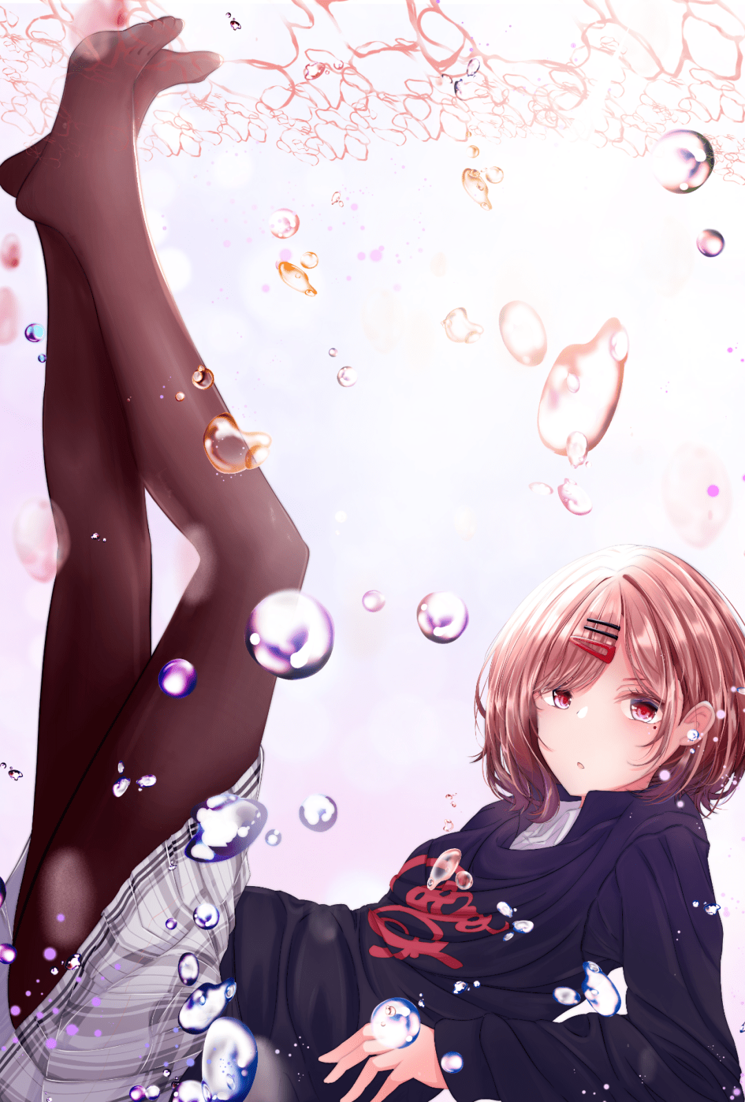 美图円批诱捕器