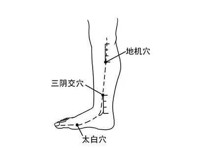 腿部胰腺点位置图片图片