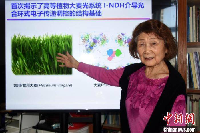 匡廷云院士介绍最新研究成果意义和影响. 中新社记者 孙自法 摄