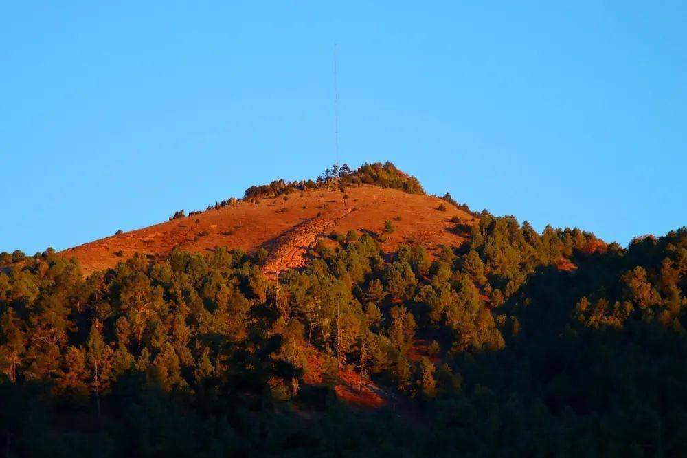 冬日云龙天子山，漫山“黄金甲”