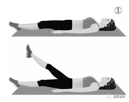 左腿|小编喊你“腰部肌肉锻炼啦！”