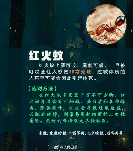 肝功能|女子逗猫后进了ICU，医生提醒：这种病在南方多发