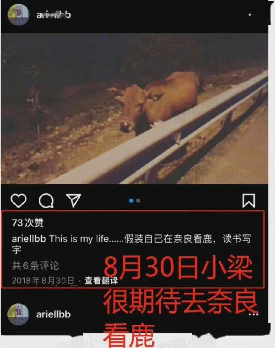 曝光恋情顶流预备役塌房了