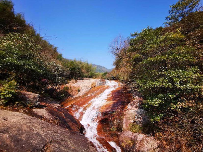 湖南蓝山县13个粤港澳“菜篮子”认定基地年销大湾区蔬菜9200吨