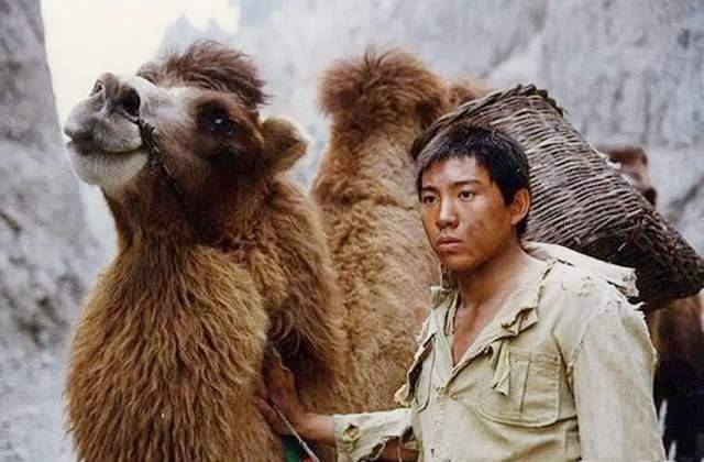 小庄谷智鑫年少成名出道多年零绯闻妻子是华筝公主