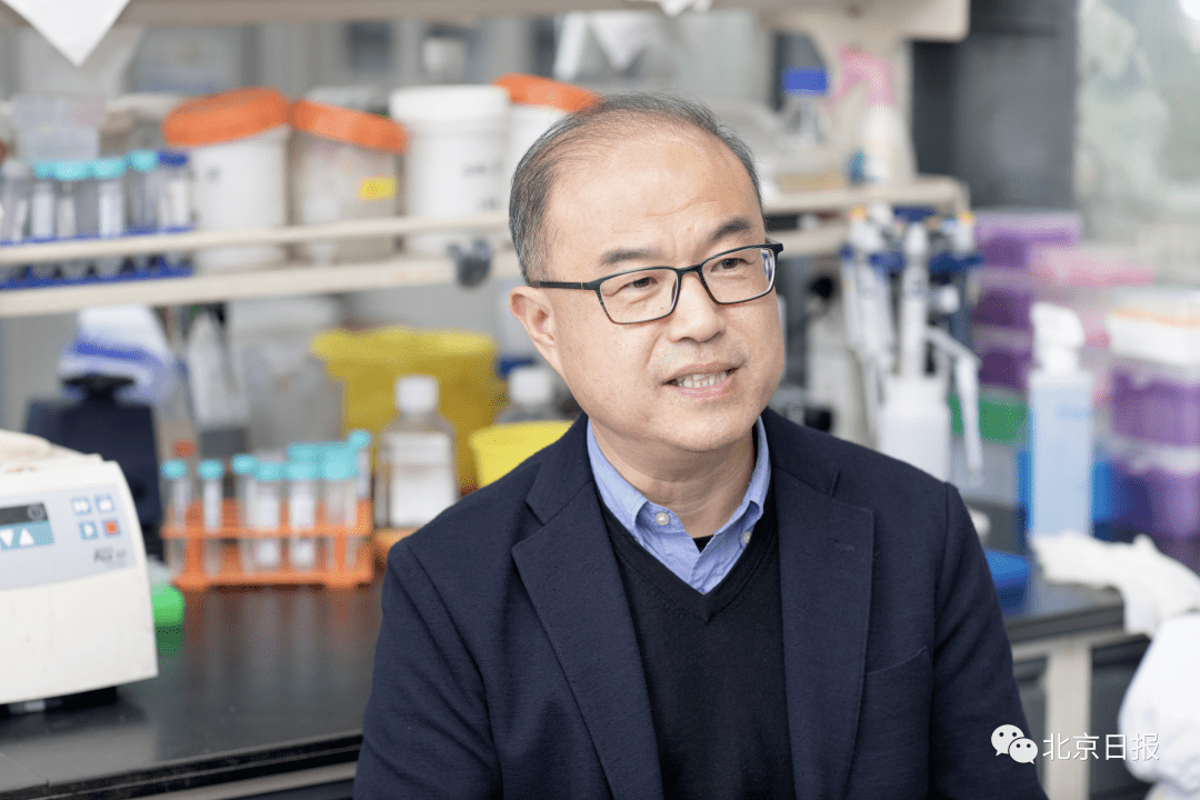 疗法|好消息！中国首个抗新冠病毒特效药获批上市