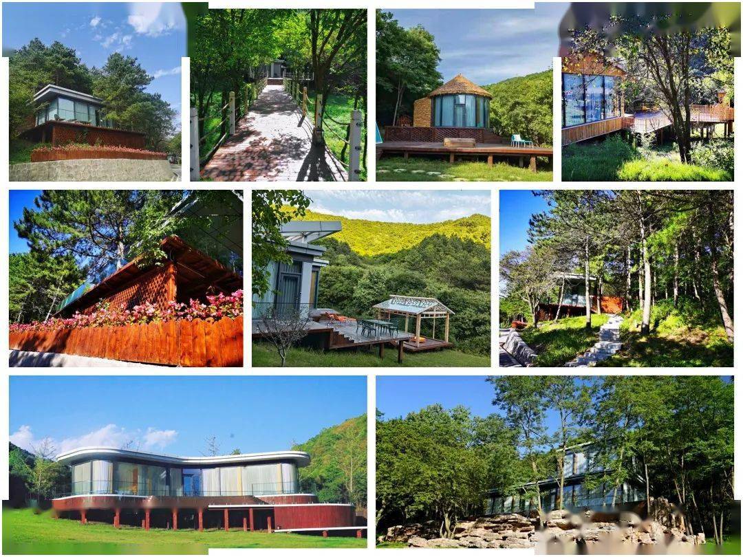 赞咸阳旬邑鹿野苑旅游宣传片亮相北京西站