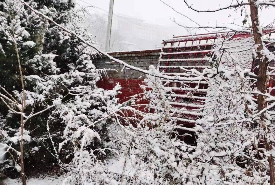 铜川|雪雪雪雪雪雪雪雪雪！陕西预警持续！