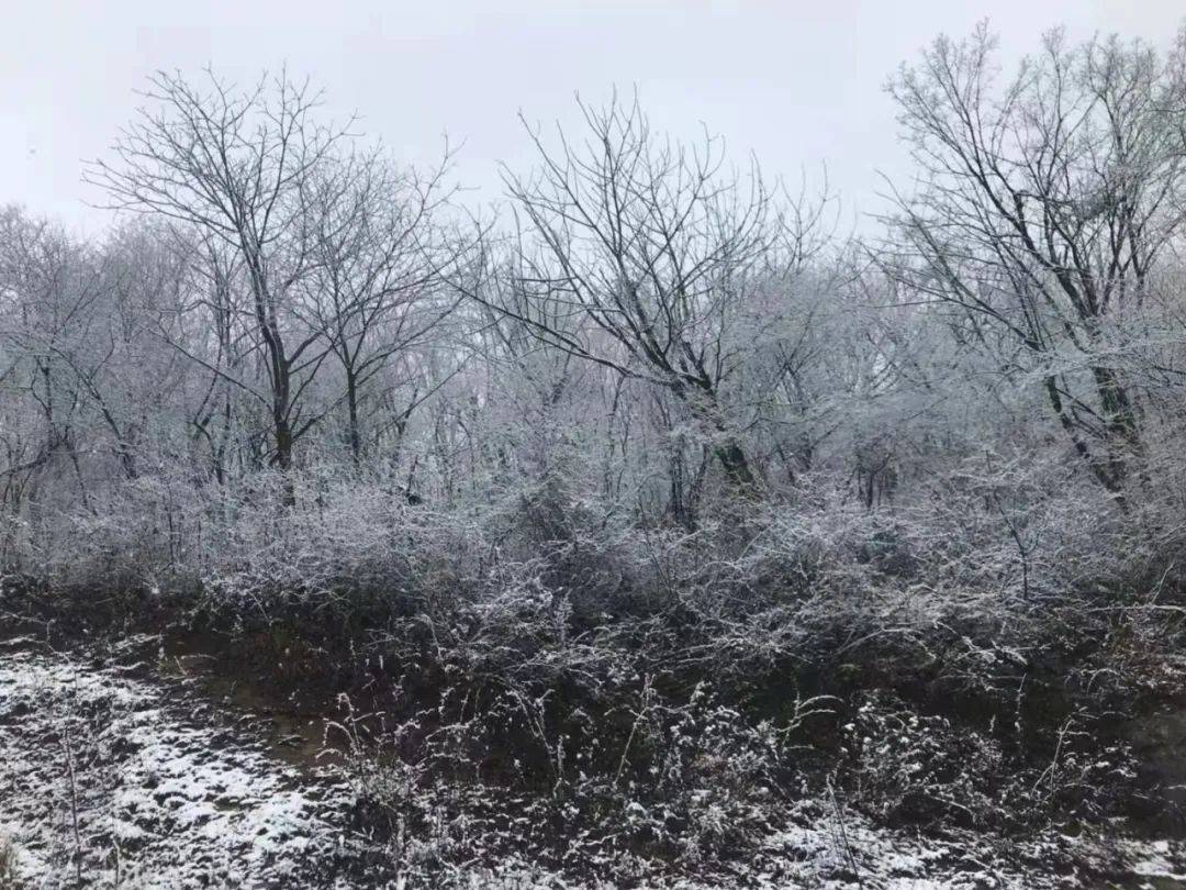 铜川|雪雪雪雪雪雪雪雪雪！陕西预警持续！