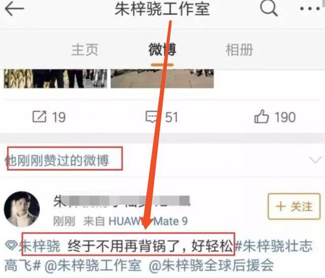 章子怡的微博为什么叫稀土部队昵称含义曝光有点意思