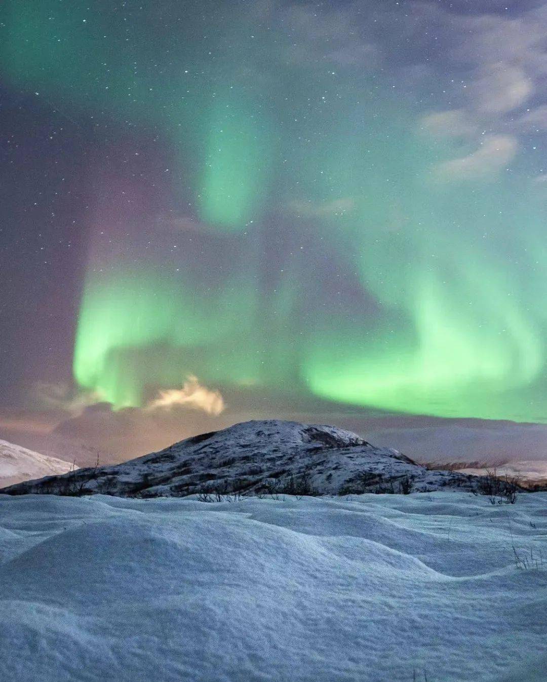 自然环境Pantone发布了2022年度流行色——长春花蓝