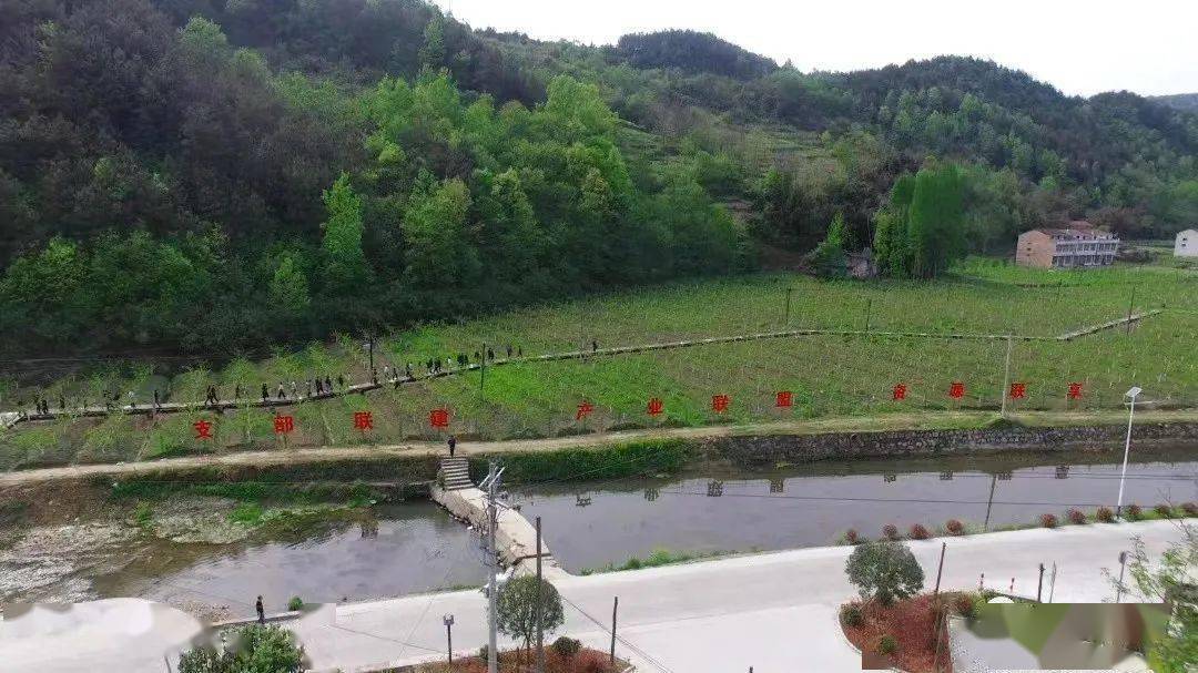 喜讯丨汉阴蒲溪镇盘龙村入选全国村级议事协商创新实验试点单位