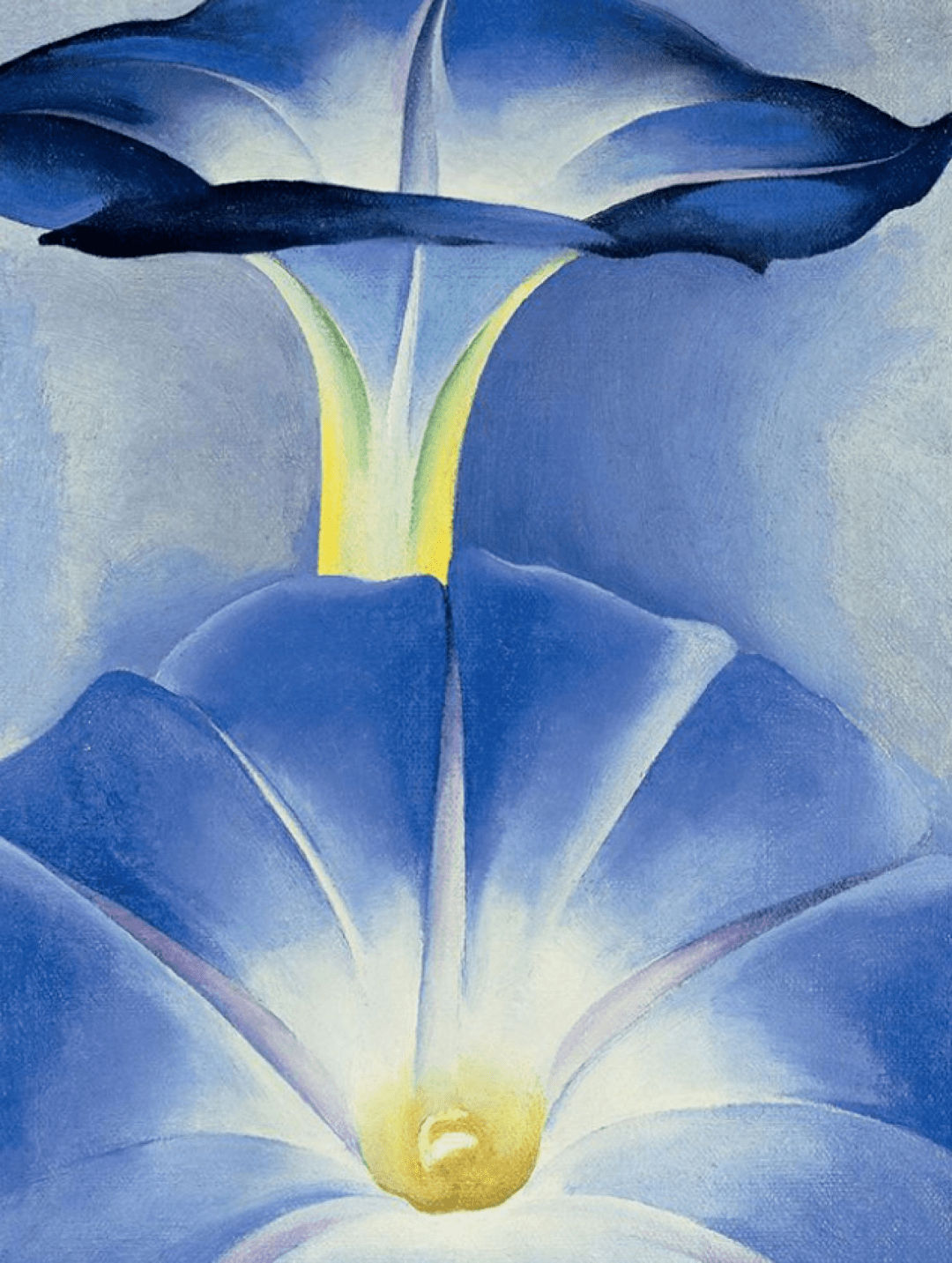 自然环境Pantone发布了2022年度流行色——长春花蓝