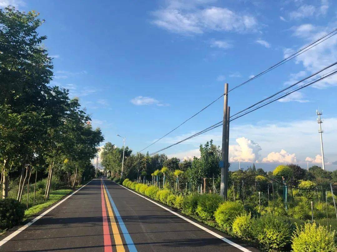 武进两村获评常州市"美丽庭院示范村"_跃进村_孝爱西_村民