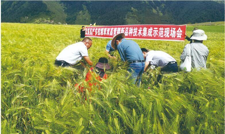 乡村|【阿坝这五年】壤塘县抢抓机遇谋奋进