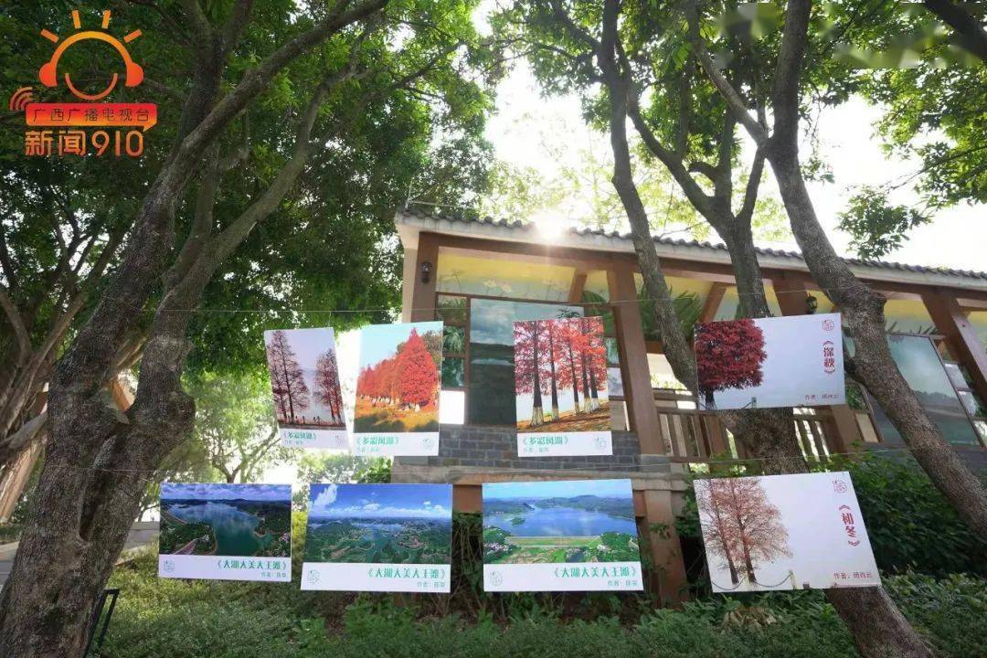 廣西南寧大王灘國家溼地公園開展生物多樣性保護主題宣傳活動