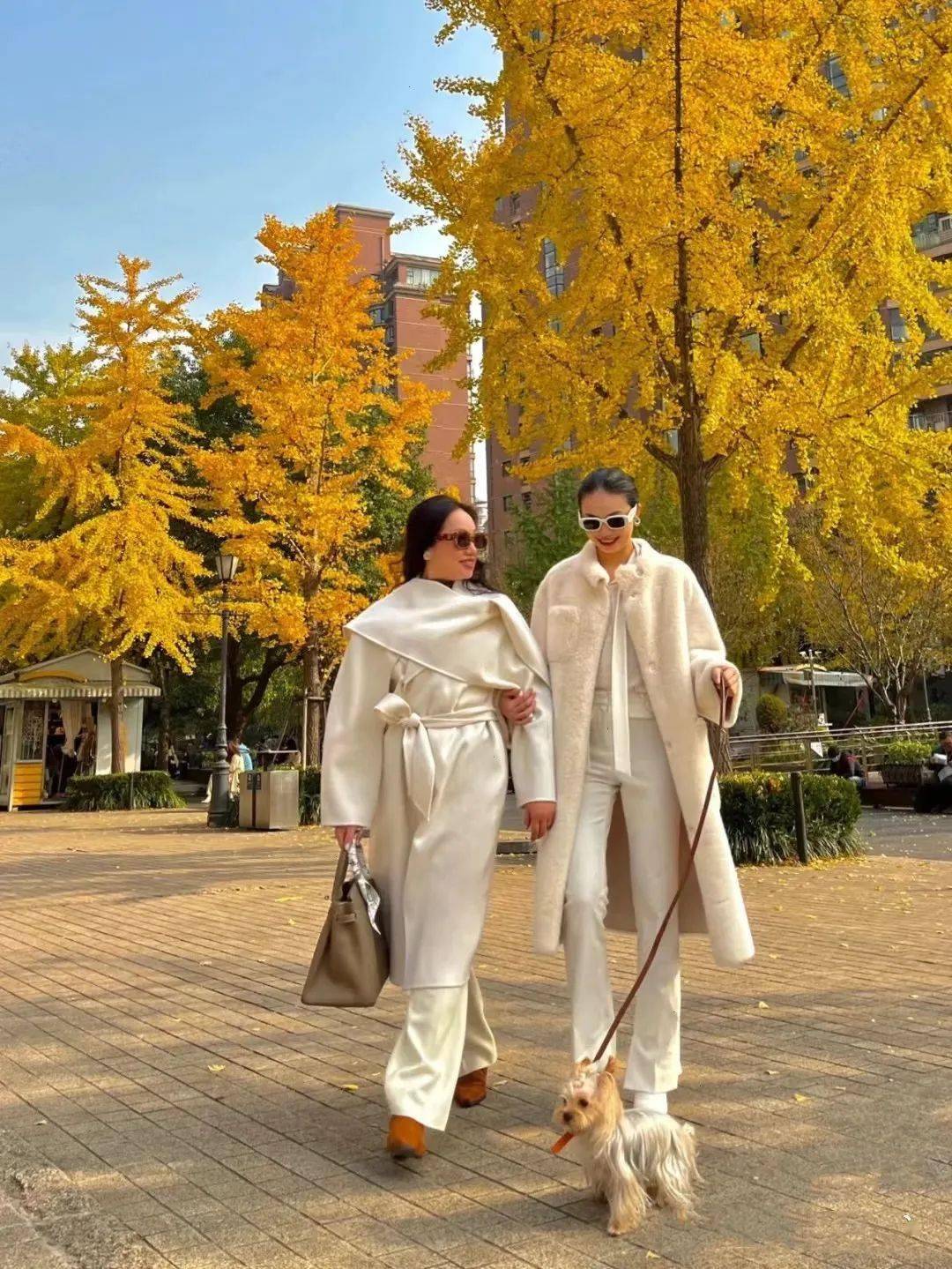 noeMie “云朵裤”火了!比阔腿裤还显瘦!!