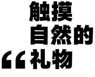 声音|「穿越时空的八音」沉浸式体验，让孩子离音乐更近一点！