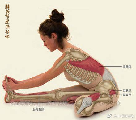 压力|6个瑜伽动作缓解一天疲惫