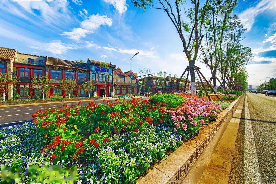 张丁:2020年已实施24条路,2021年实施完成37条路,2022年计划再实施38