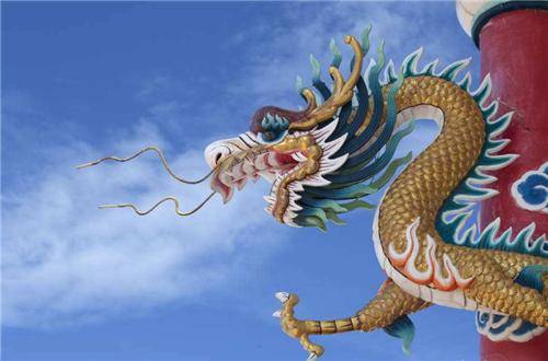 日本瑞龙寺收藏的真龙标本为何不准鉴定真假到底隐藏什么猫腻