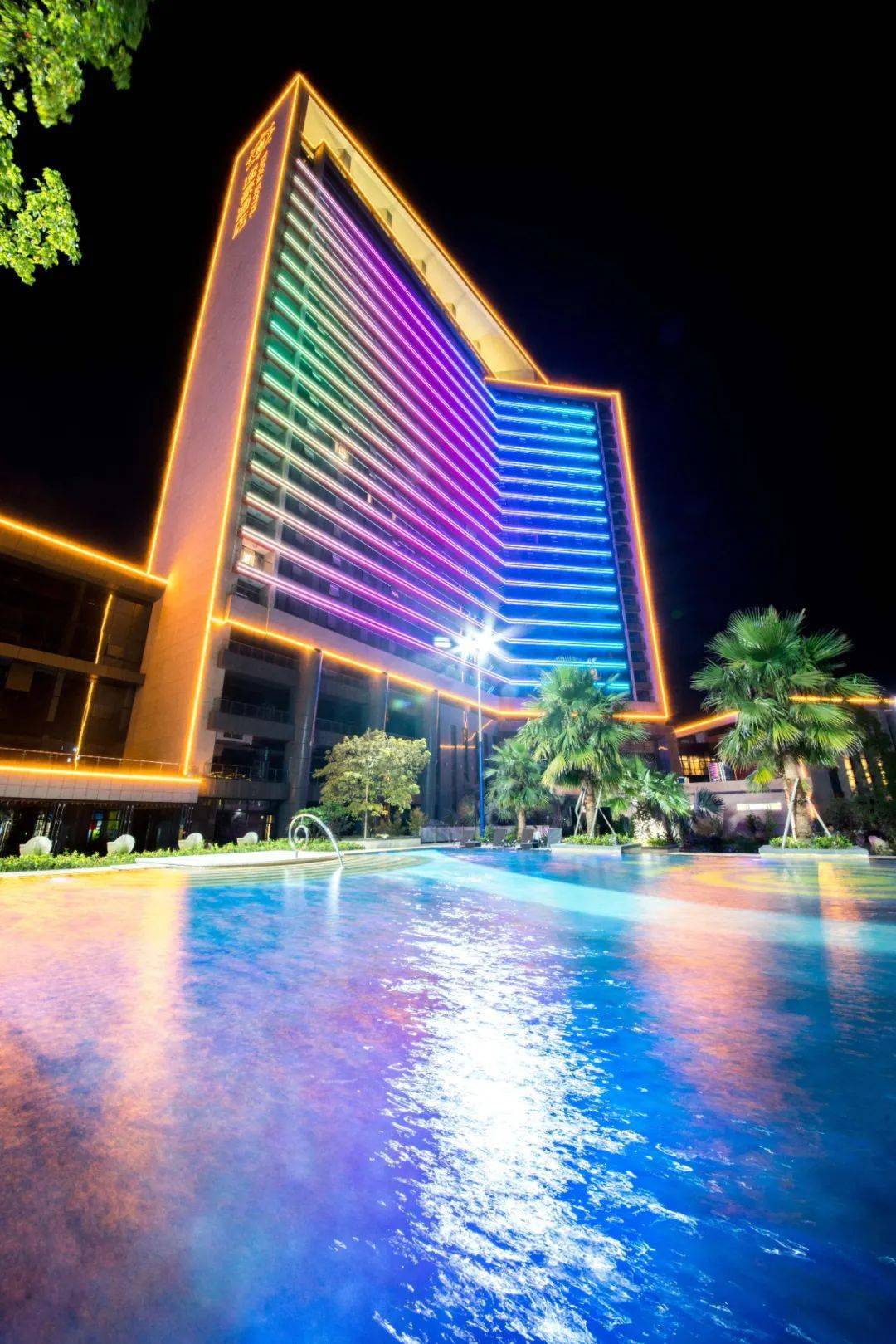 打卡网红粉色童话世界紫花风铃木花海,住五星恩平逸豪酒店,品尝蟹逅