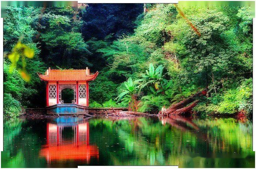 2021年度三明网红打卡推荐地展播三元格氏栲景区五木湖