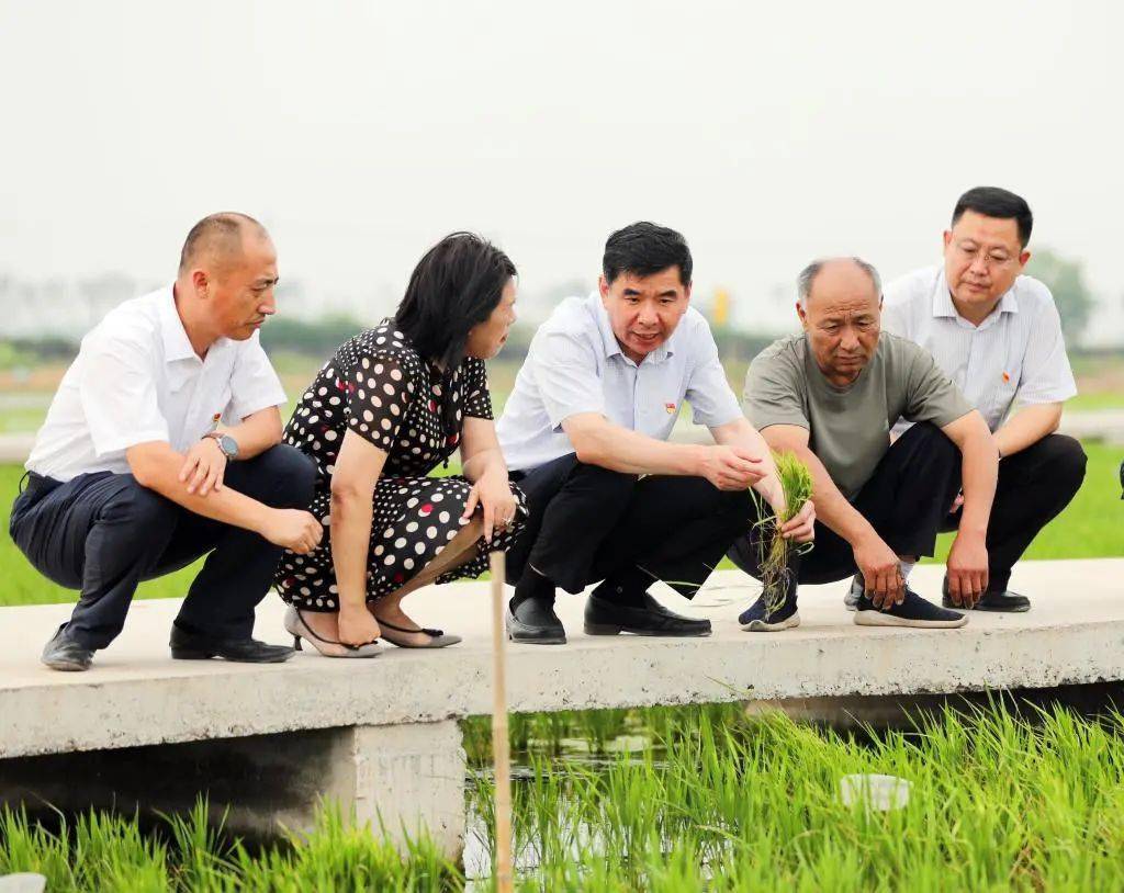 十位县委书记谈学习贯彻落实党的十九届六中全会精神